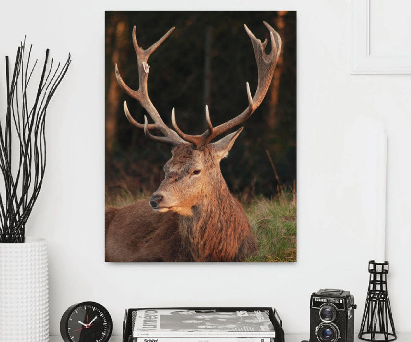 Deer Antlers Animal Wall for Decor Canvas