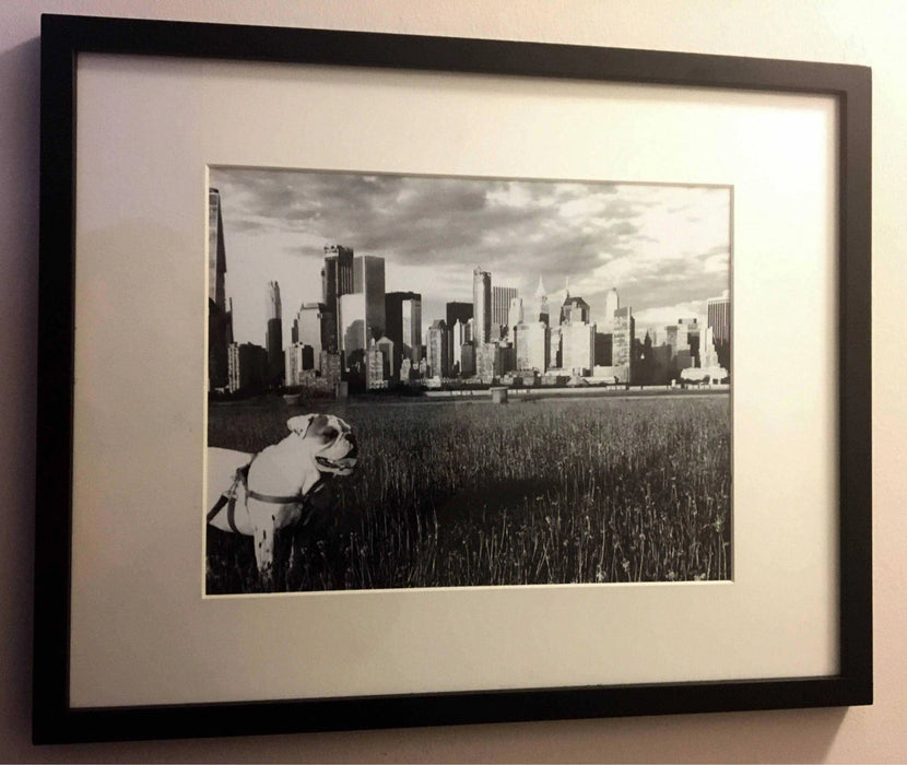 English bulldog framed art Black and white NYC skyline Picture Frame Store New Jersey