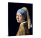 Girl with A Pearl Earring by Johannes Vermeer Feminist art Canvas