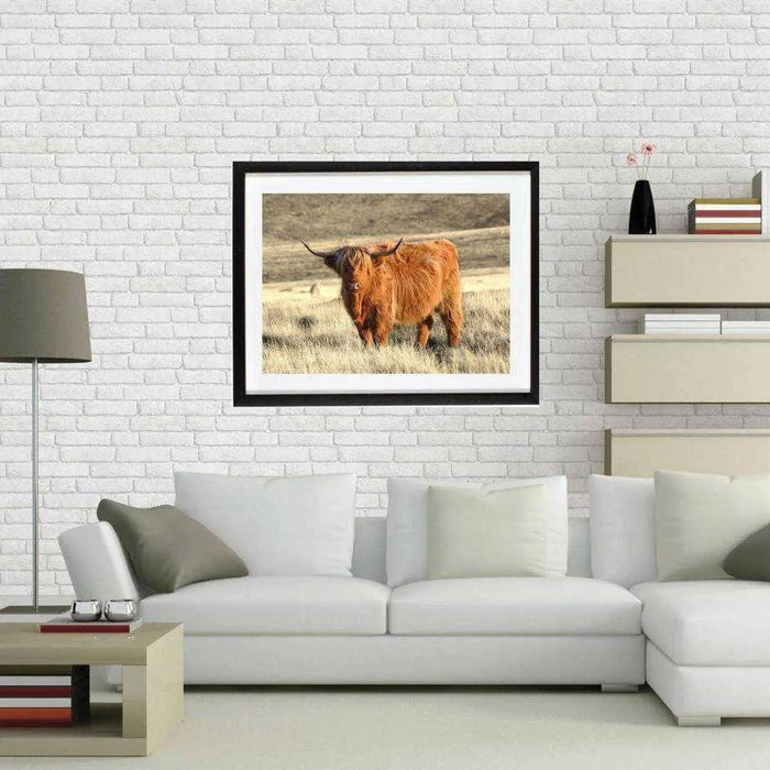 Highland Cow art print Buffalo Animal Print Decor Picture Frame Store New Jersey