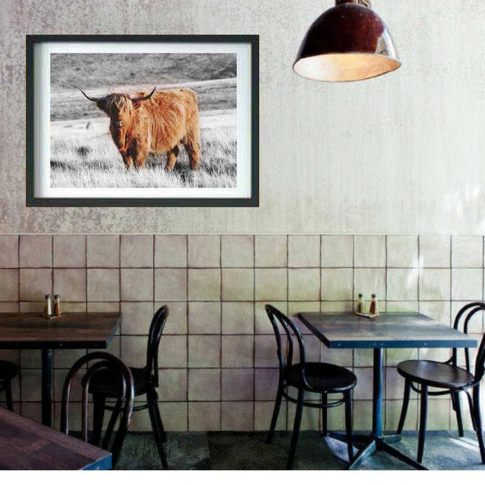 Highland Cow art print Buffalo Animal Print Decor Picture Frame Store New Jersey