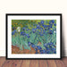 Irises by Vincent Van Gogh Garden Flowers botanical Art