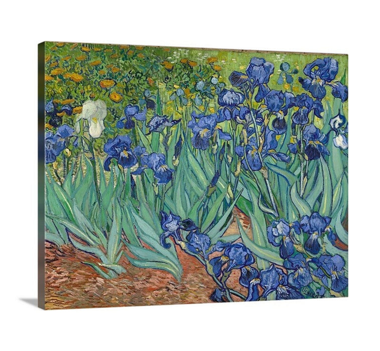 Irises by Vincent Van Gogh Garden Flowers botanical Art