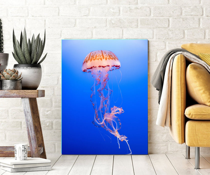 Jellyfish Canvas Prints Ocean wall art Landscape