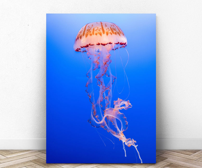 Jellyfish Canvas Prints Ocean wall art Landscape