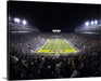 LSU Tigers, Tiger Stadium, Death Valley, LSU Football, LSU, College football,  Baton Rouge