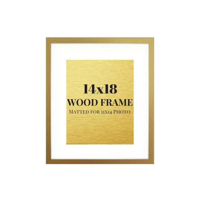 Modern Gold 14x18 Picture frame 14x18 frame matted to 11x14 photo print