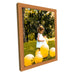 Modern Flat Honey Pecan Wood Picture Frame - Modern Memory Design Picture frames - New Jersey Frame shop custom framing