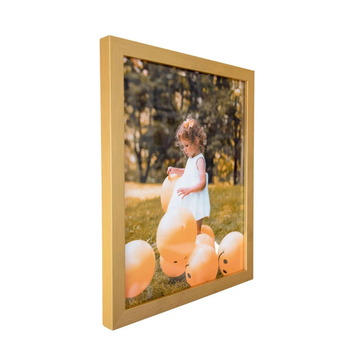 Modern Gold 14x18 Frame matted to 11x14 Picture Frame Store New Jersey