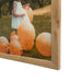 Natural Maple 23x23 Picture Frame 23x23 Frame 23x23 23x23 Square Poster