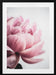 Peony 1 Framed Art Wall Decor - 18x24 / Black Frame - Framed Art