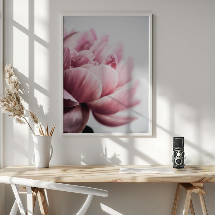 Peony 1 Framed Art Wall Decor - Framed Art