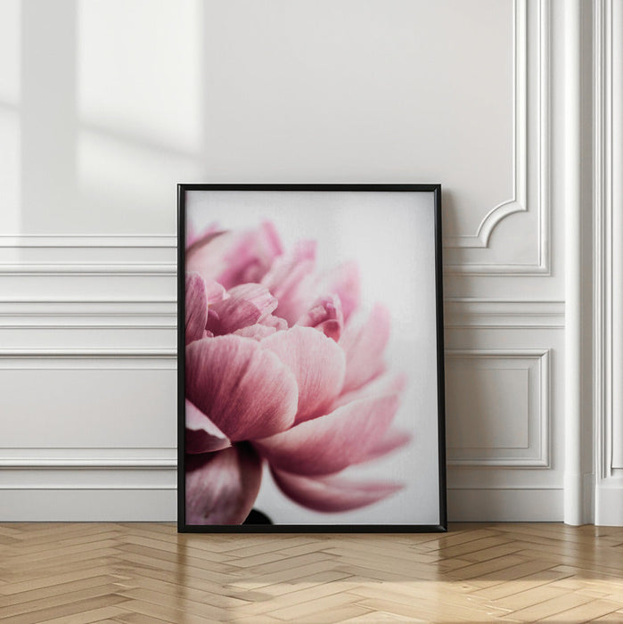 Peony 1 Framed Art Wall Decor - Framed Art