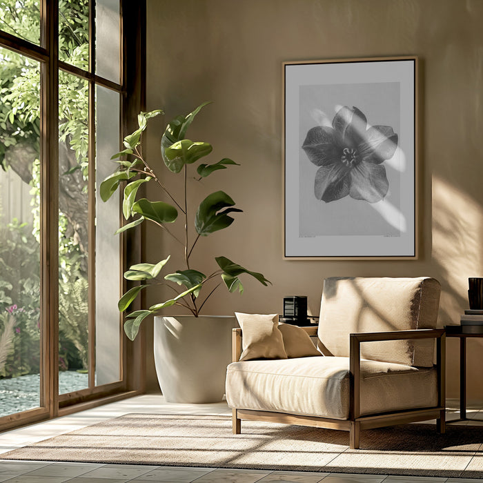 Cobaea Scandens Framed Art Modern Wall Decor