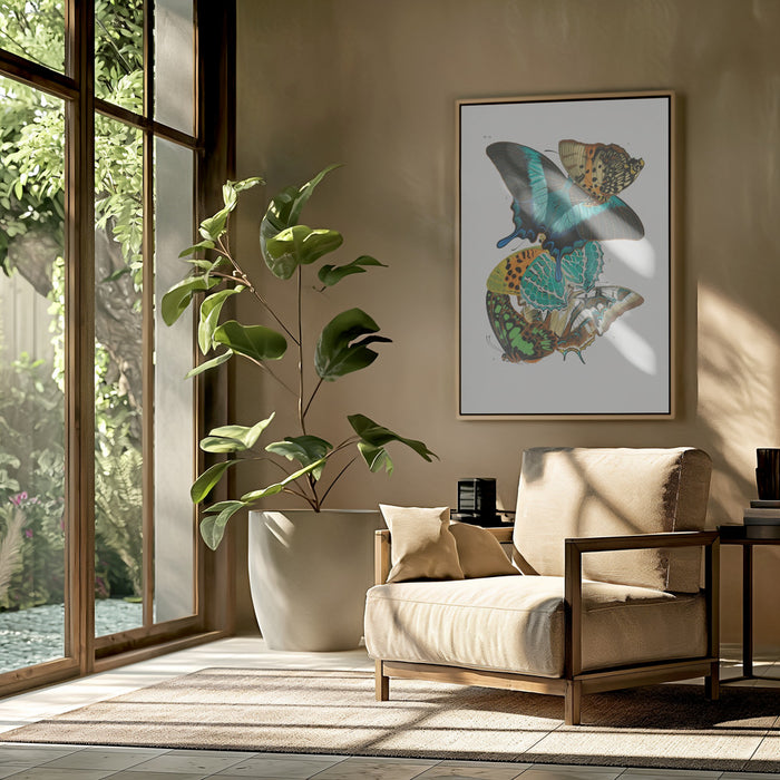 Butterflies 5 Framed Art Wall Decor