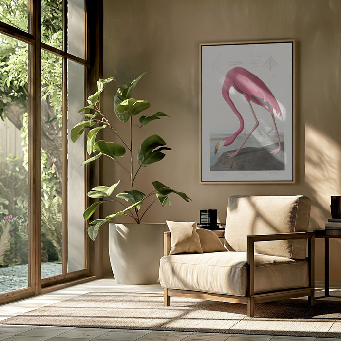 Pink Flamingo From Birds of America (1827) Framed Art Wall Decor