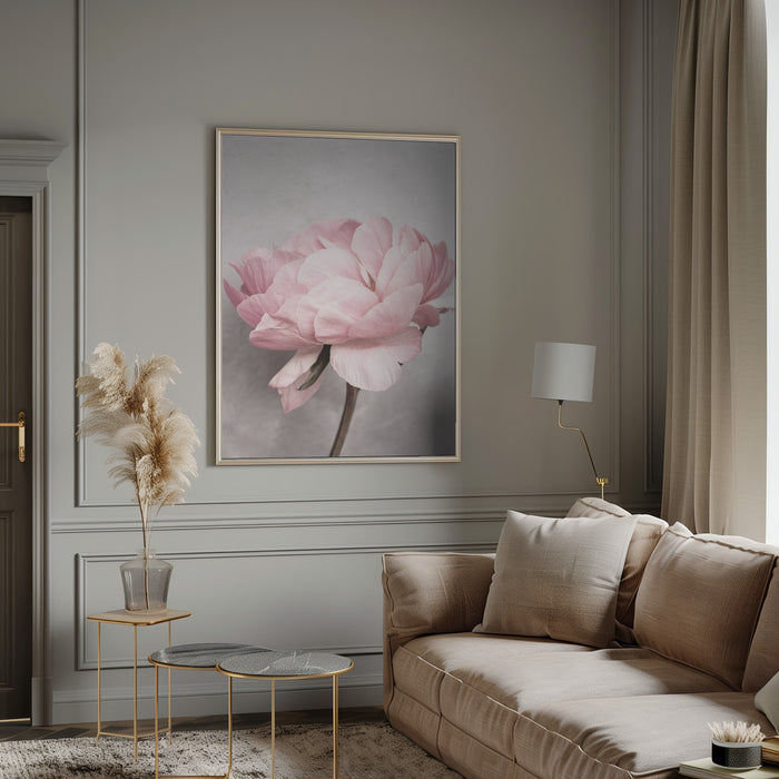 Peony Framed Art Wall Decor