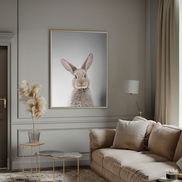 Baby Rabbit Framed Art Wall Decor