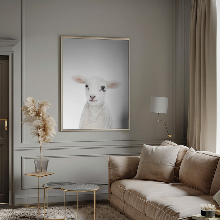 Baby Lamb Framed Art Modern Wall Decor