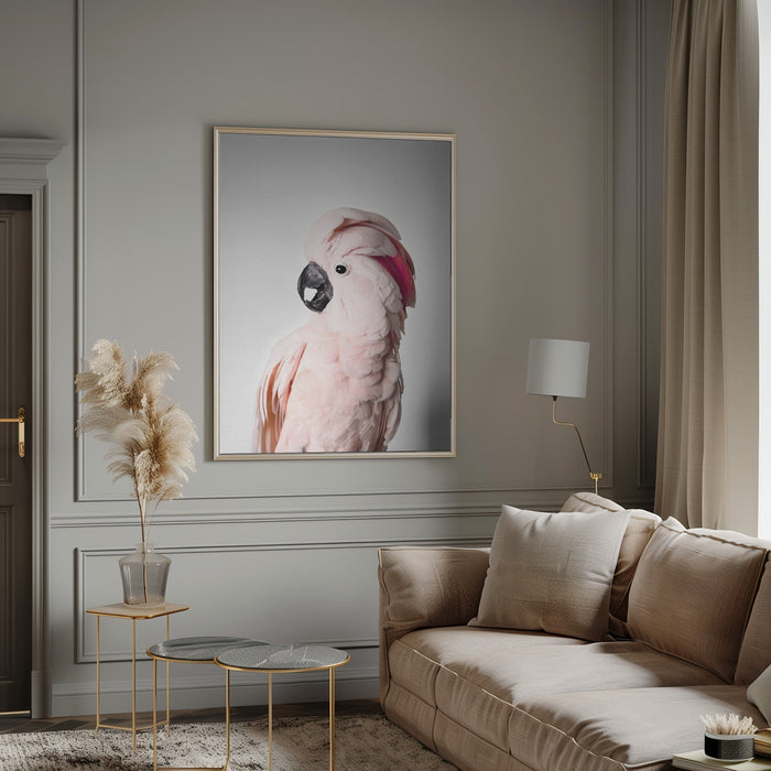 Pink Cockatoo Framed Art Modern Wall Decor