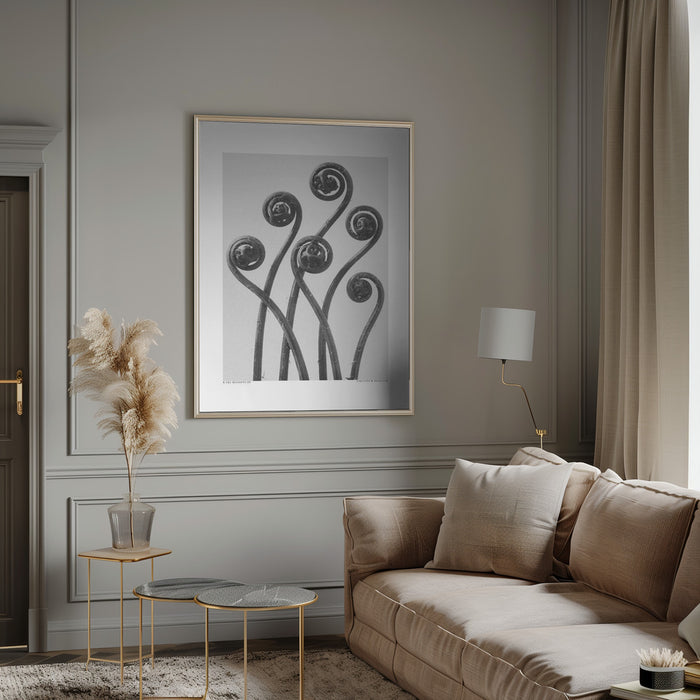 Adiantum pedatum Framed Art Modern Wall Decor