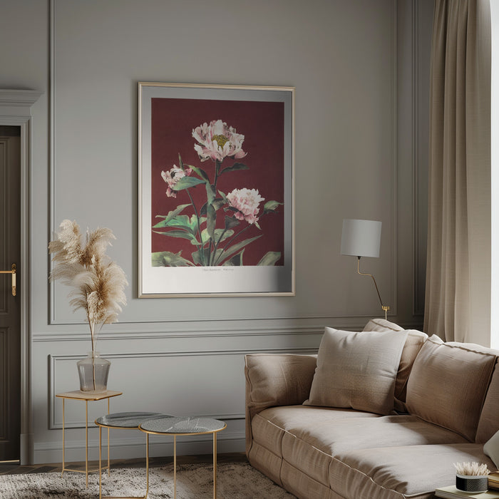 Hærdaceous Peony no2 Framed Art Modern Wall Decor