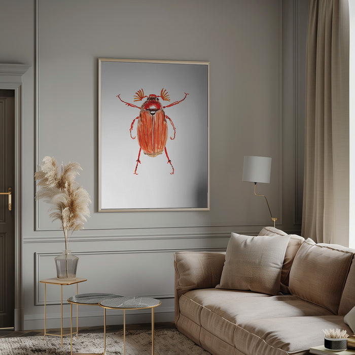 Forest cockchafer or Melolontha hippocastani Framed Art Wall Decor