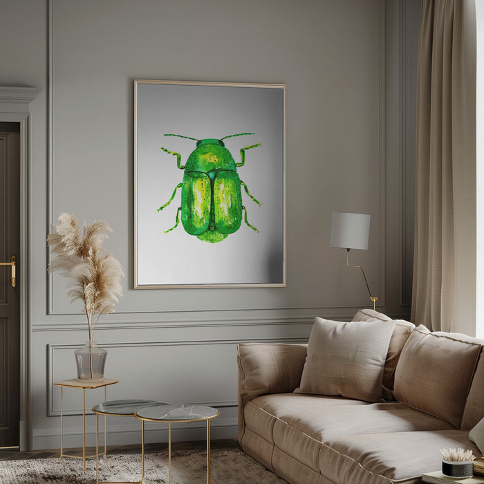 Cylindrical leaf beetle or Cryptocephalus sericeus Framed Art Wall Decor