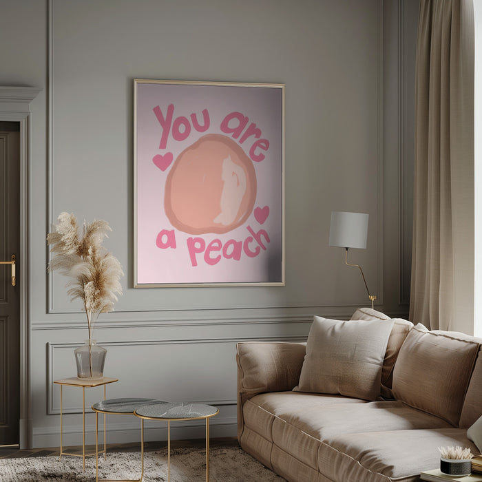 Peach Framed Art Modern Wall Decor