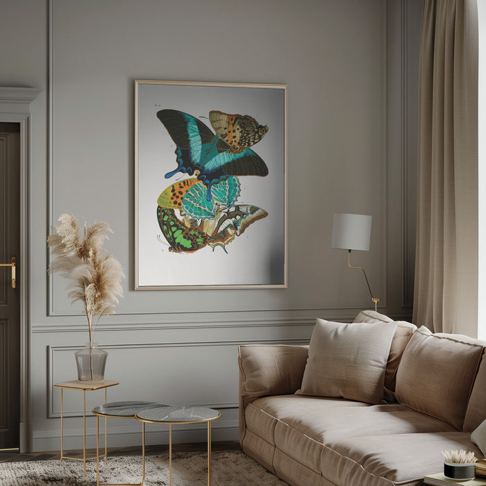 Butterflies 5 Framed Art Wall Decor