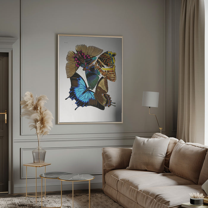 Butterflies 4 Framed Art Modern Wall Decor