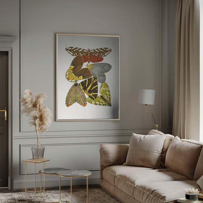 Butterflies 6 Framed Art Wall Decor