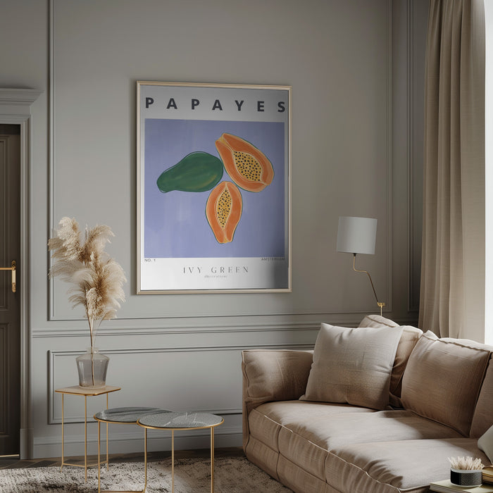 Papayes Framed Art Modern Wall Decor