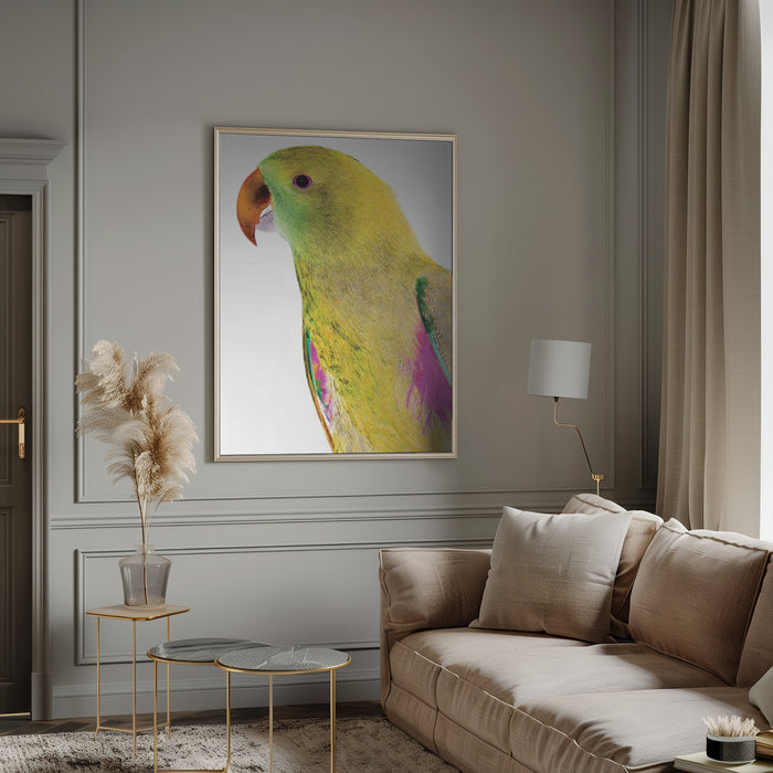 Polly Framed Art Wall Decor