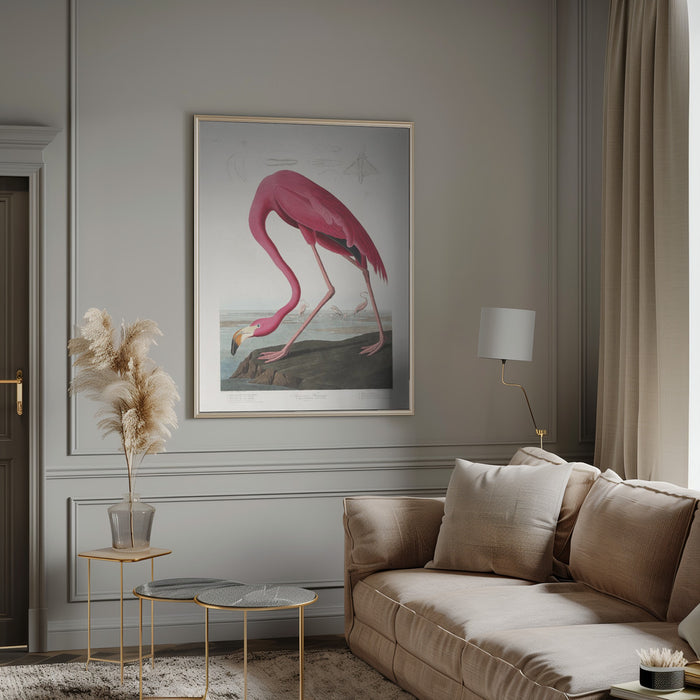 Pink Flamingo From Birds of America (1827) Framed Art Wall Decor