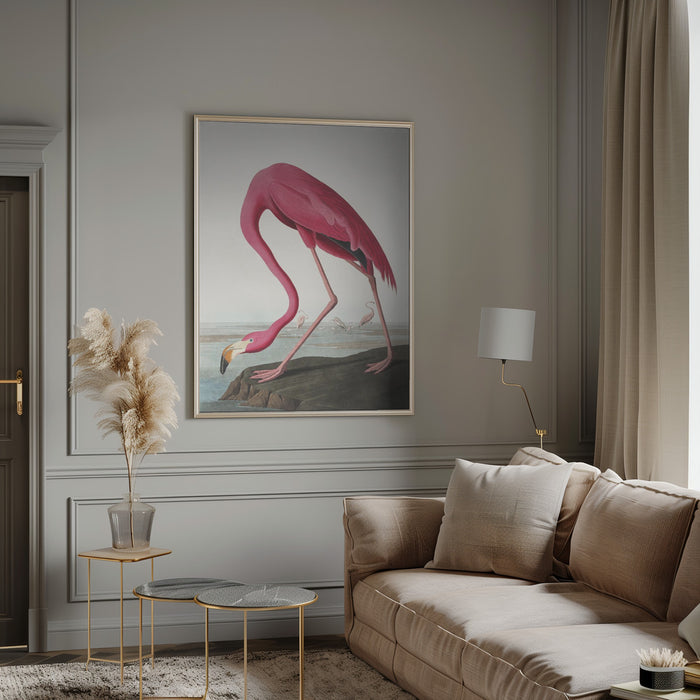 Pink Flamingo Ii From Birds of America (1827) Framed Art Modern Wall Decor