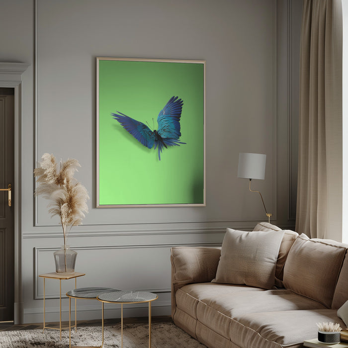 Parrot Butterfly Framed Art Modern Wall Decor