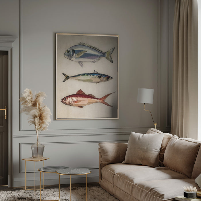 Deniz Baliklari  Fish Framed Art Wall Decor