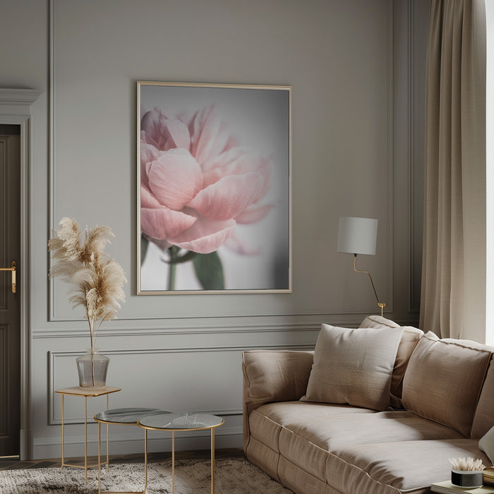 Peony 3 Framed Art Modern Wall Decor