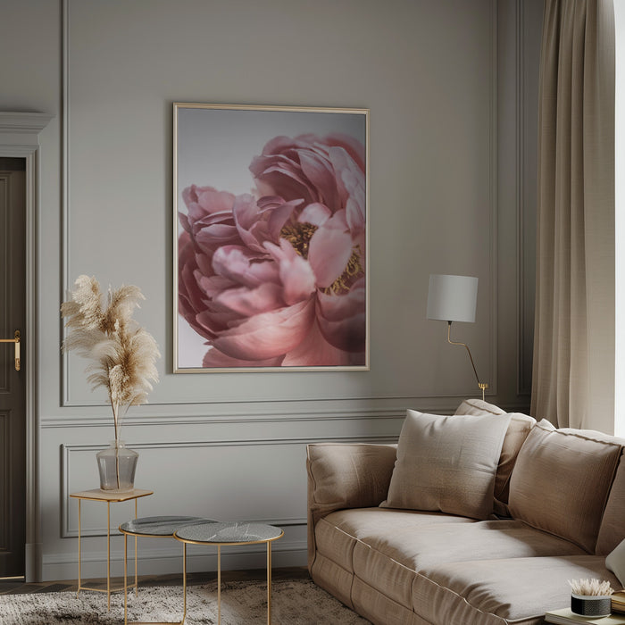 Peony Framed Art Modern Wall Decor