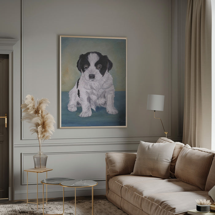 Border Collie Puppy Framed Art Modern Wall Decor