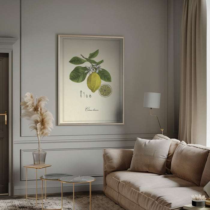 Lemon Framed Art Modern Wall Decor