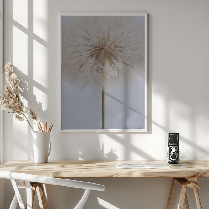 Delicate Dandelion Framed Art Wall Decor