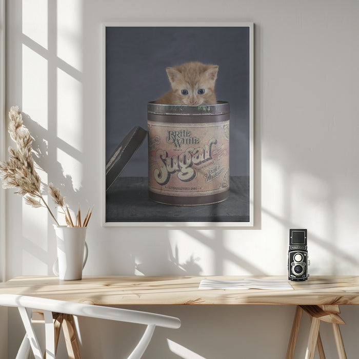 Chip Framed Art Wall Decor