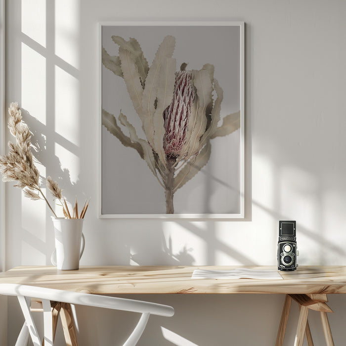 Banksia Framed Art Modern Wall Decor