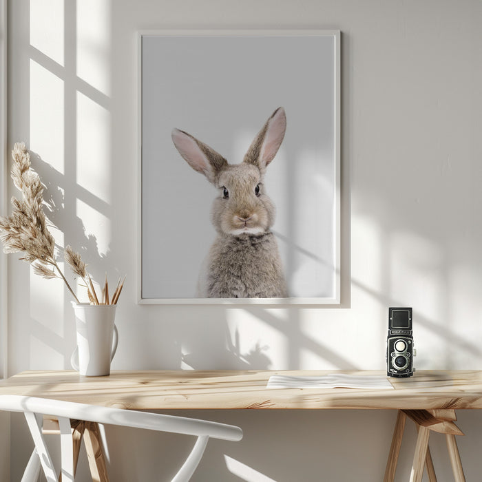 Baby Rabbit Framed Art Wall Decor