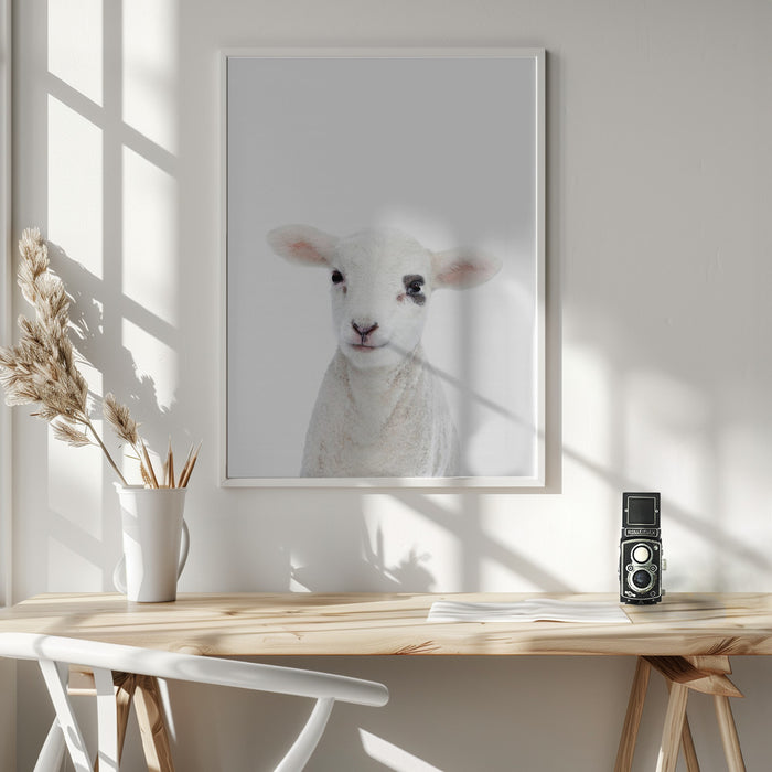 Baby Lamb Framed Art Wall Decor