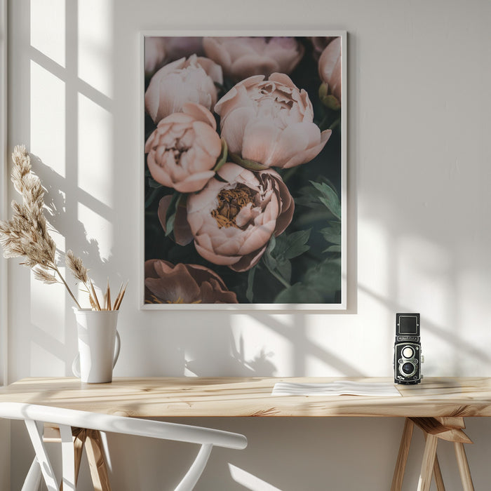 Coral Peonies Framed Art Wall Decor