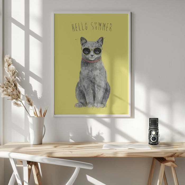 Hello Summer Framed Art Wall Decor