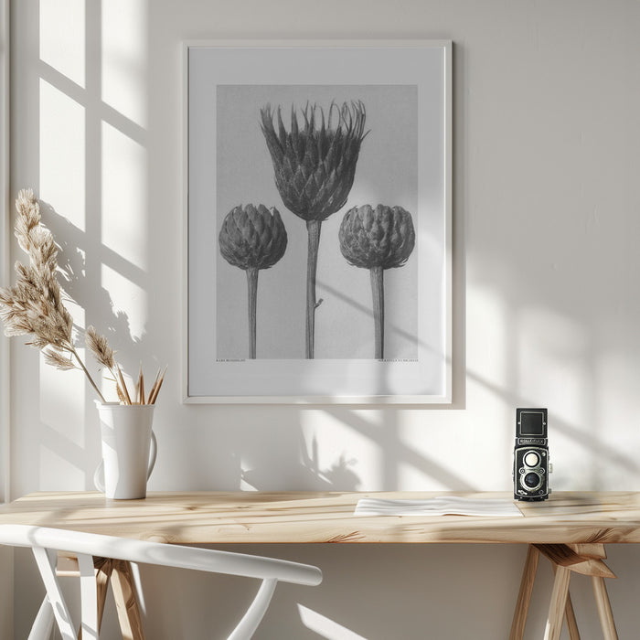 Serratula Nudicaulis Framed Art Wall Decor